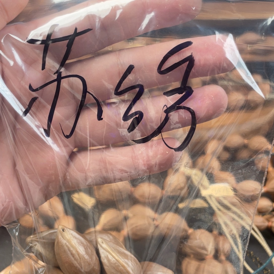 苏***绣吊坠橄榄核梅林红核铁三角1837苏绣
