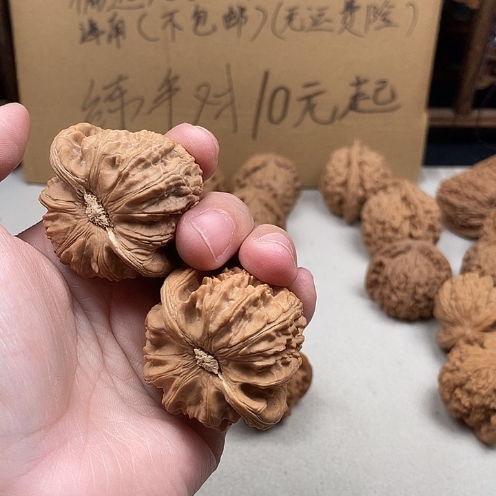 墩****吊坠龙脊菩提86.86.86.86.86