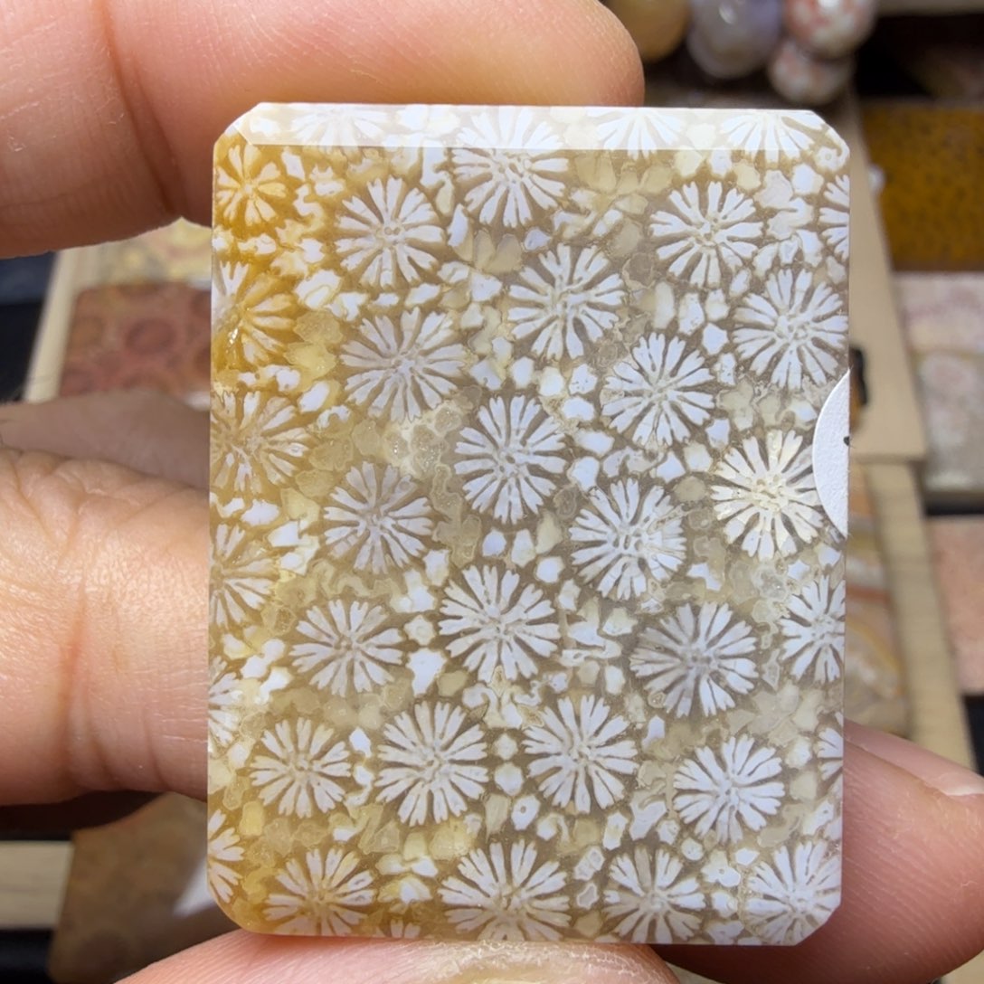 硅化玉未镶嵌纯天然色有机玉石保真色