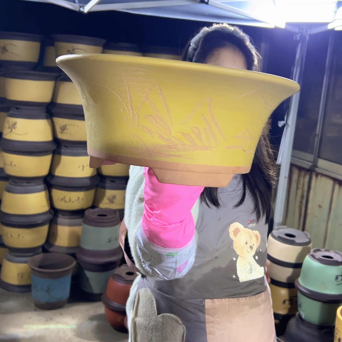 33黄票口花盆花盆