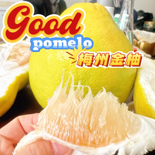 （小邓哥夫妻助农梅州金柚）梅州金柚沙田柚松口纯甜水果当季柚子