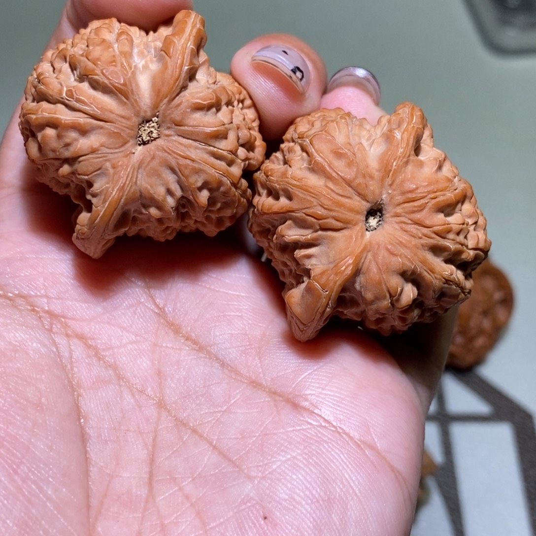 君***爹手串/手链核桃血麒麟