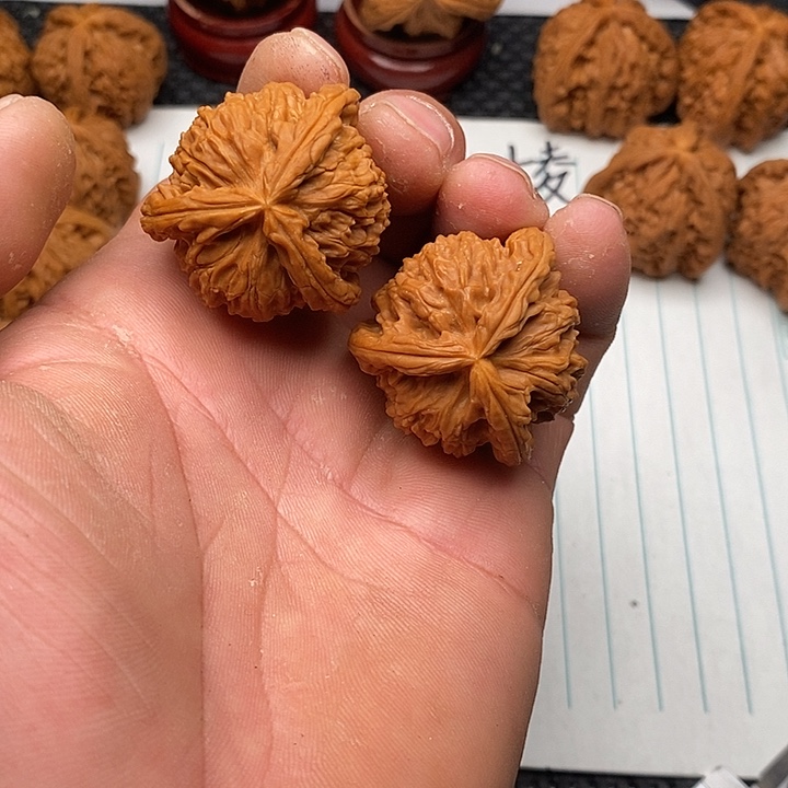 手串/手链核桃福利白狮子1