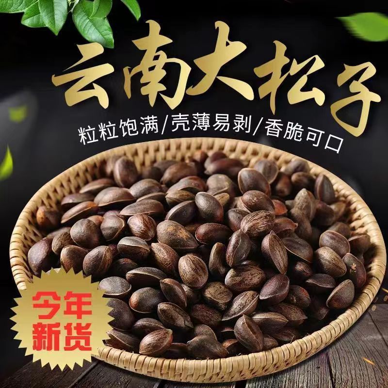 2025年云南新鲜生松子纯天然原味松子新货大颗粒薄壳散装批发坚果