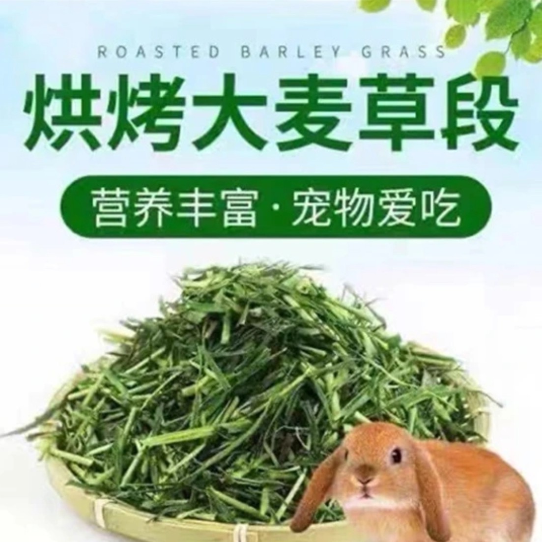 新鲜烘干大麦草段小宠物主食营养粗纤维兔子豚鼠龙猫牧草