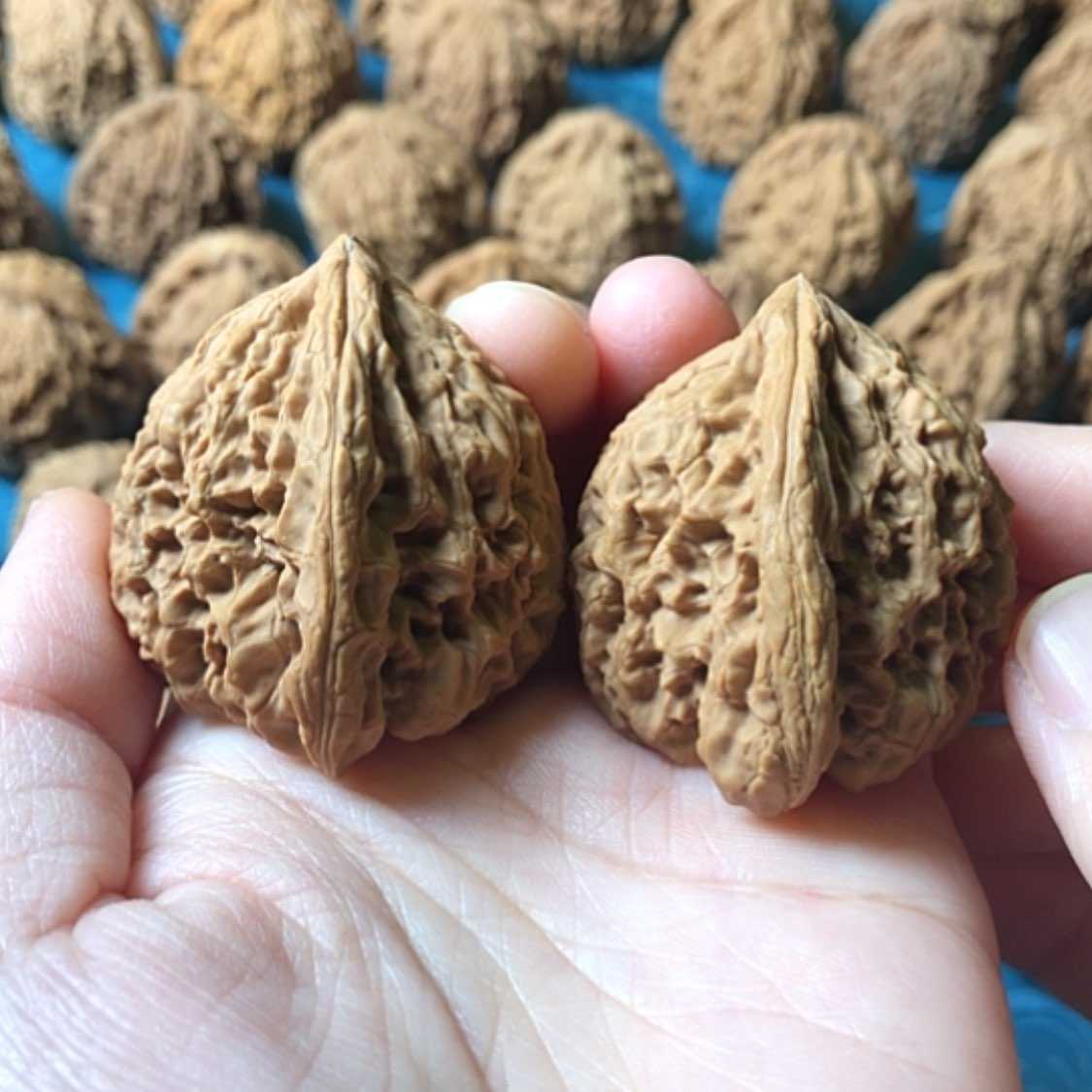 【闪购商品】文玩核桃把件o****?一代将