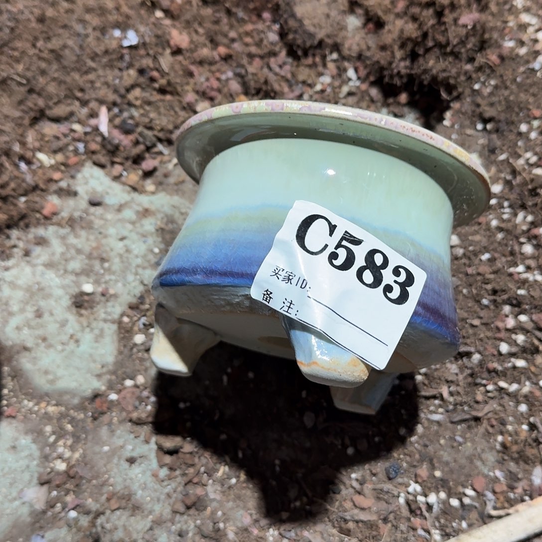 583号花盆多肉帽檐