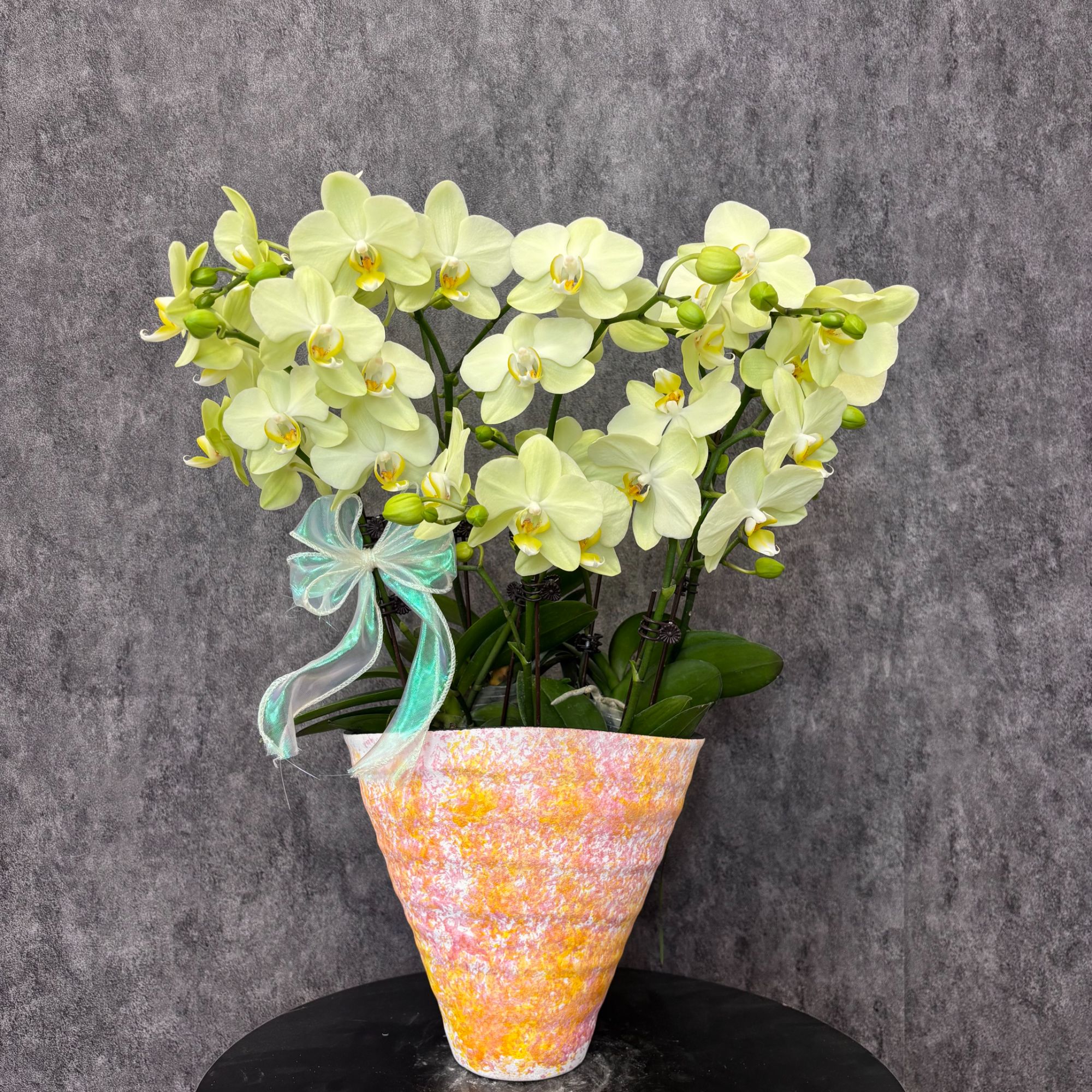 【卡利-蝴蝶兰】美式风 意式极简 原木风 现代风 室内高端鲜花 送礼