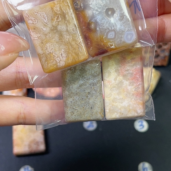 硅化珊瑚（珊瑚玉）珠宝金石合金相****嘴