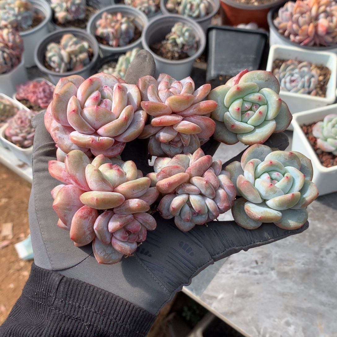 哈哈哈哈哈哈哈哈哈