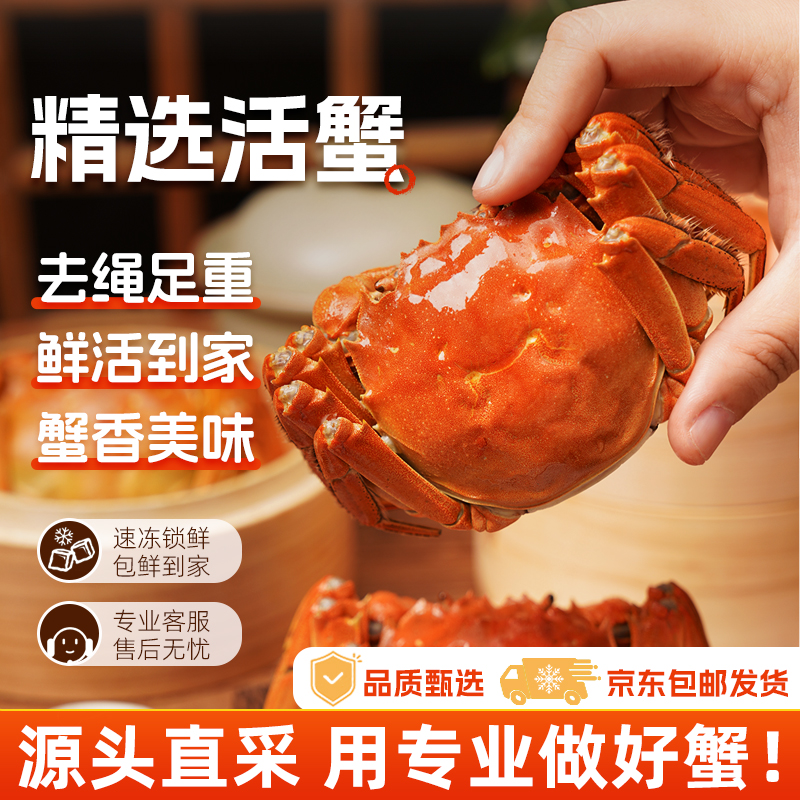 【活蟹】全公3.0-3.3两 4对8只 兴化大闸蟹去绳足重鲜活到家饱满