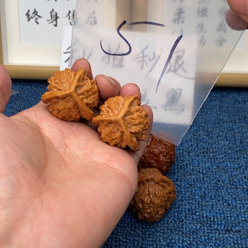 【闪购商品】文玩核桃把件8.6753357753753
