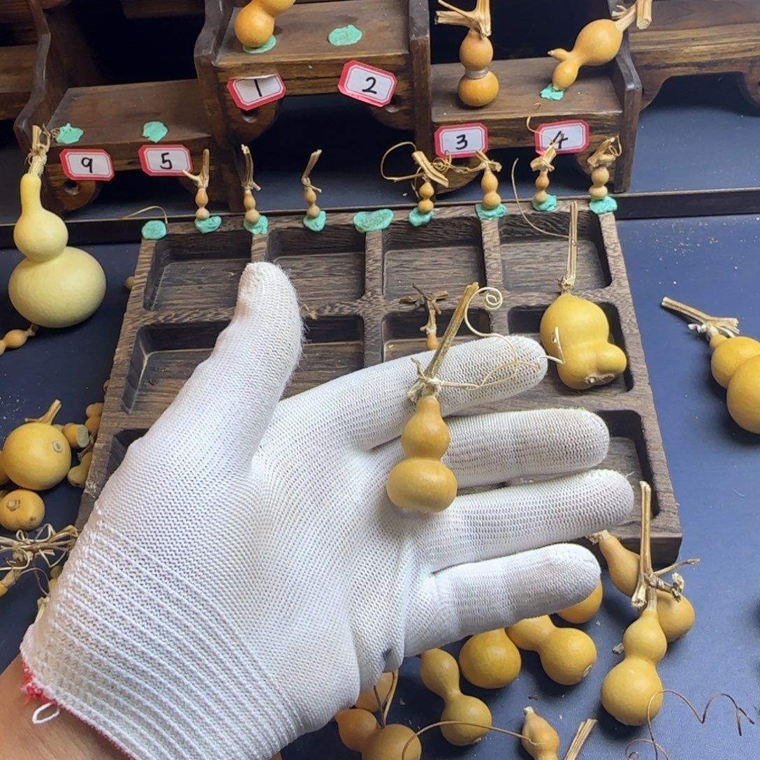 阿***莫我是一只小小鸟地域文化特色社会主义