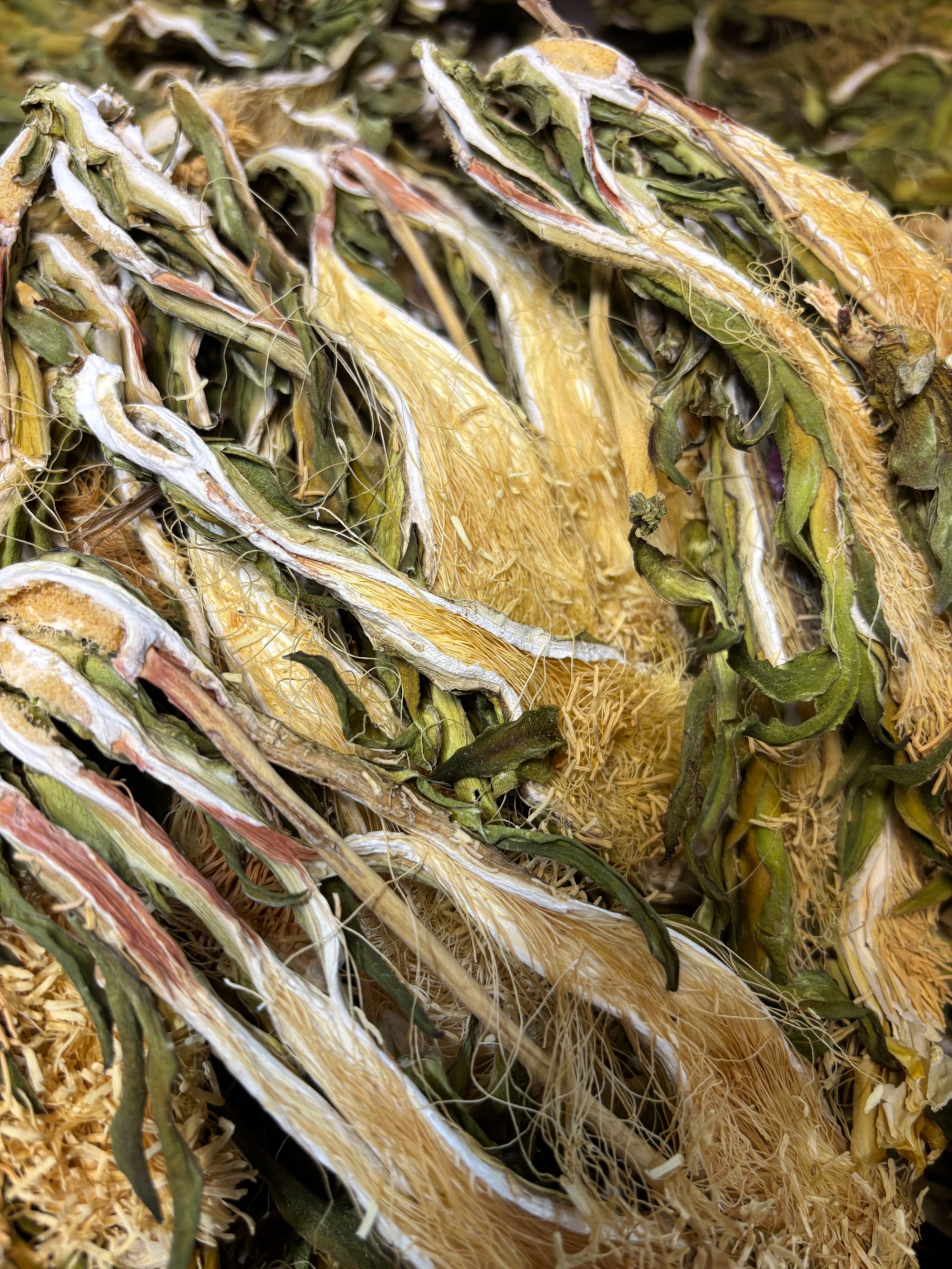 四川菌王手选高山霸王花 新货干货