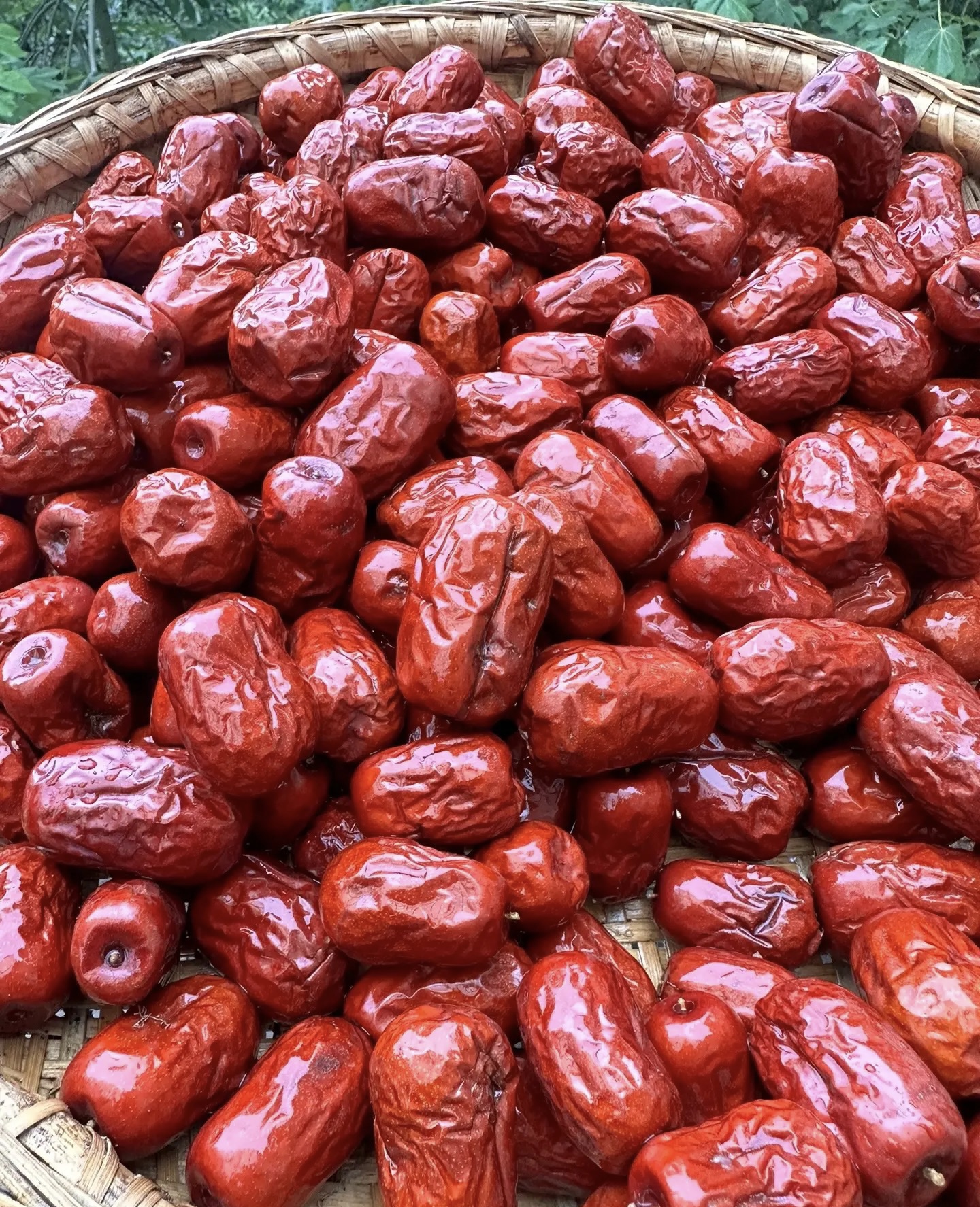 （月）初级农产品【枣】可搭配枸杞50g 100g