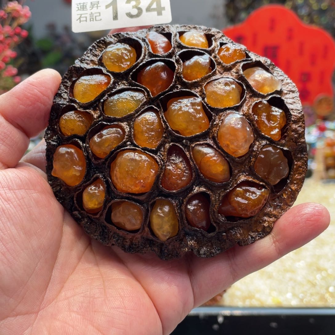 核桃木/黑胡桃（胡桃木）134