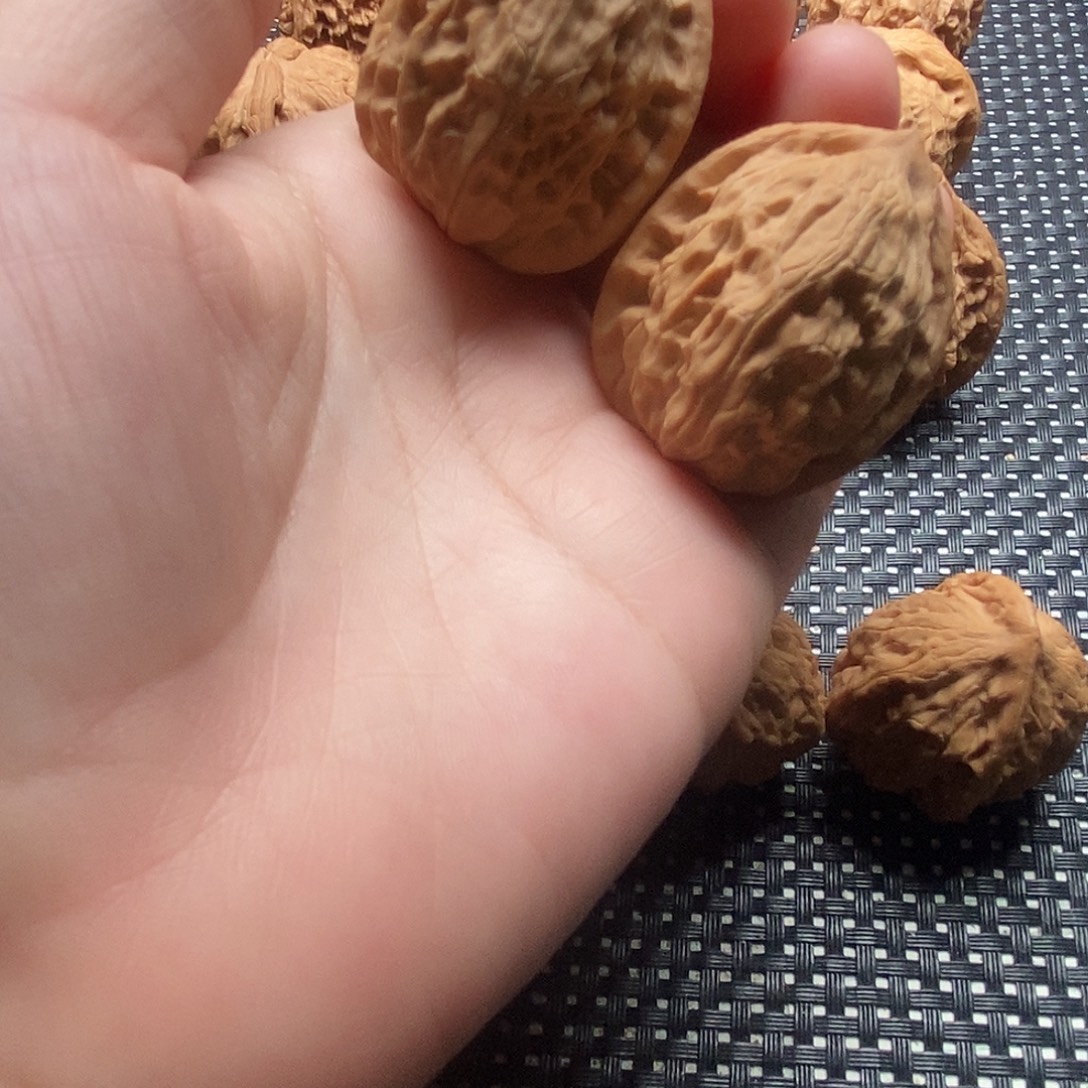 腿***羊文玩核桃吊坠核桃