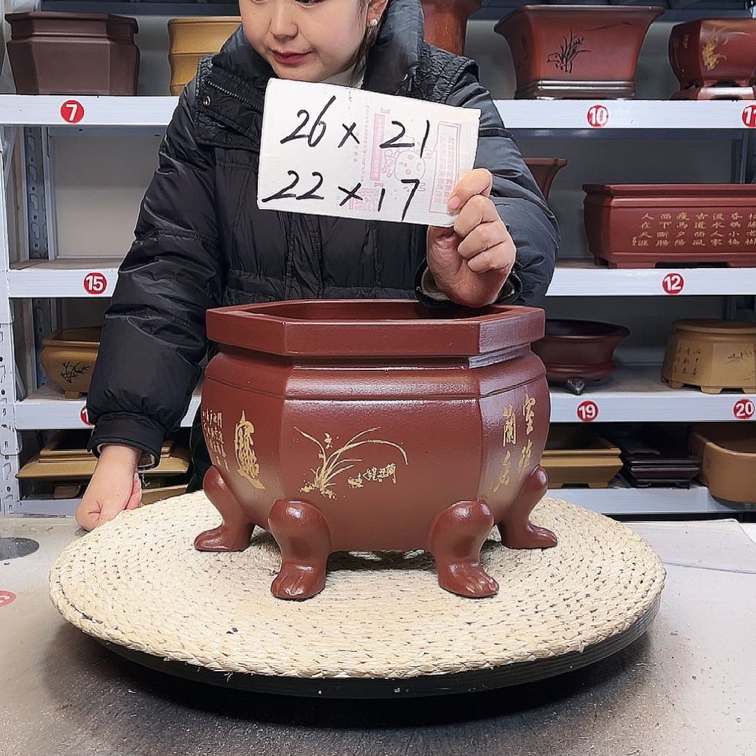 紫砂花盆紫砂花盆