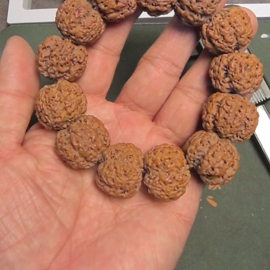 手串金刚菩提五星梅花大金刚手串，24左右尺寸，原皮原色