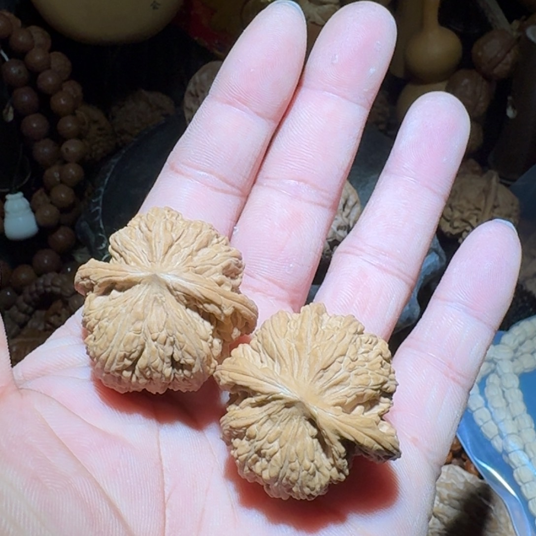 核桃36尺全品承德密纹狮子