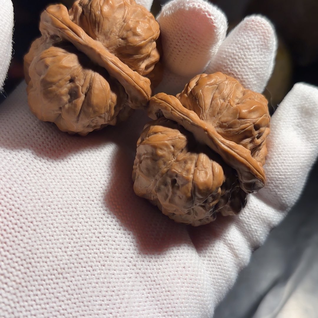 你***一核桃全品方块蛙蜡皮色山地果