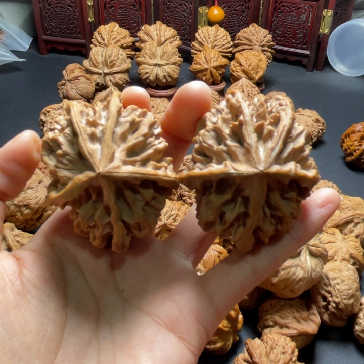 帝王狮子头五棱54尺寸核桃哈哈哈哈哈哈哈哈