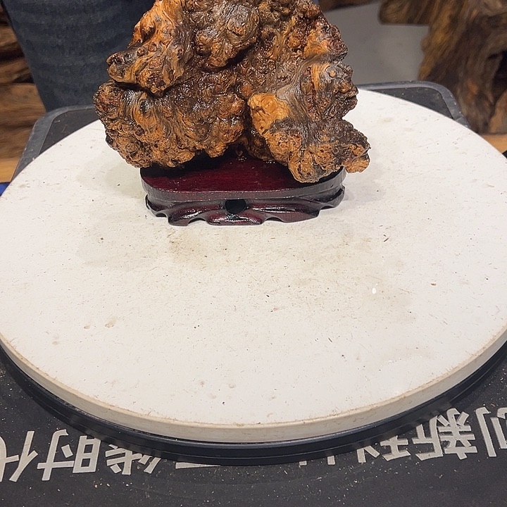 松木（琥珀木）水**成