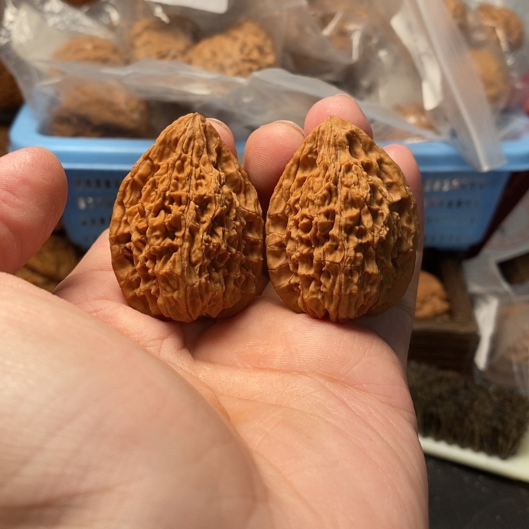 1文玩核桃鸭嘴兽32-252