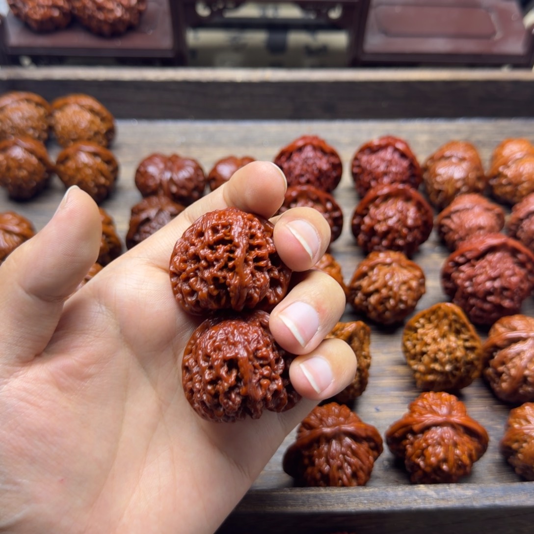 一***念满天星看看咯哦哦哦