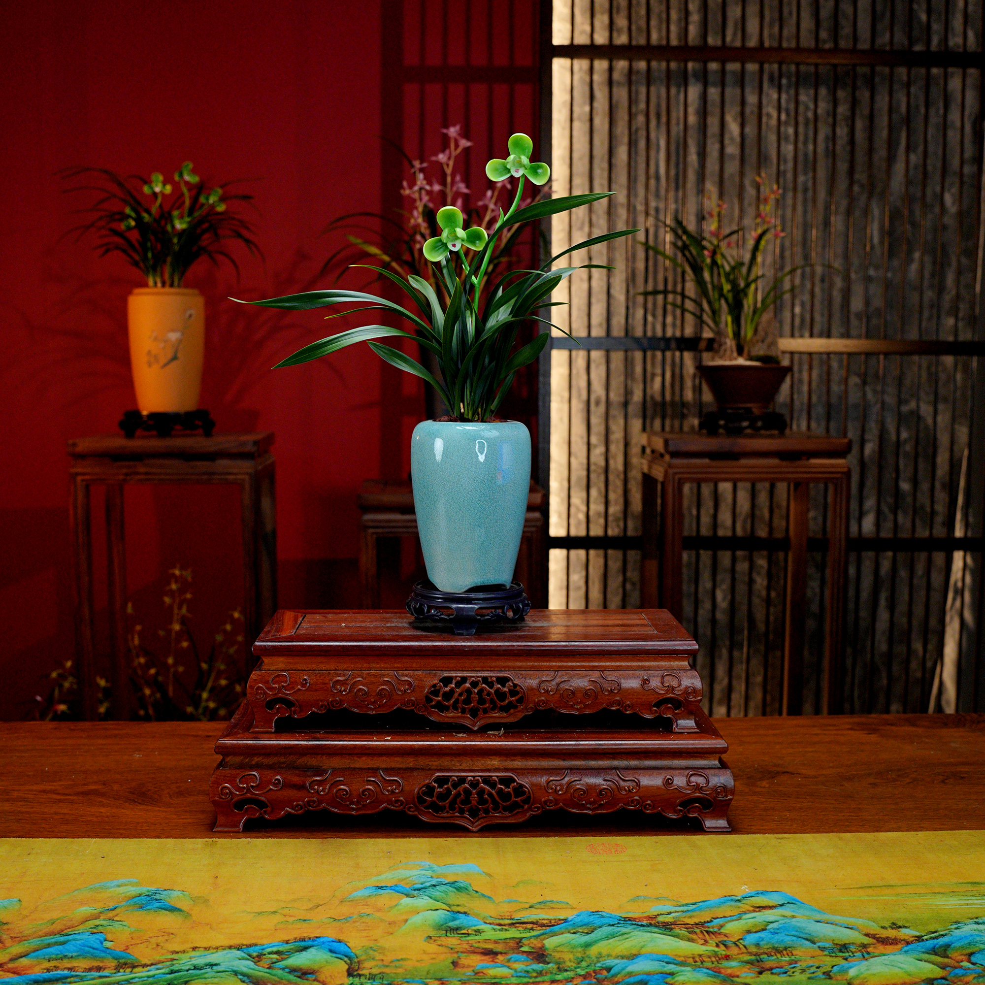 春兰铭品【翡翠荷】浓香型兰花 景德镇汝窑冰裂纹 陶瓷盆