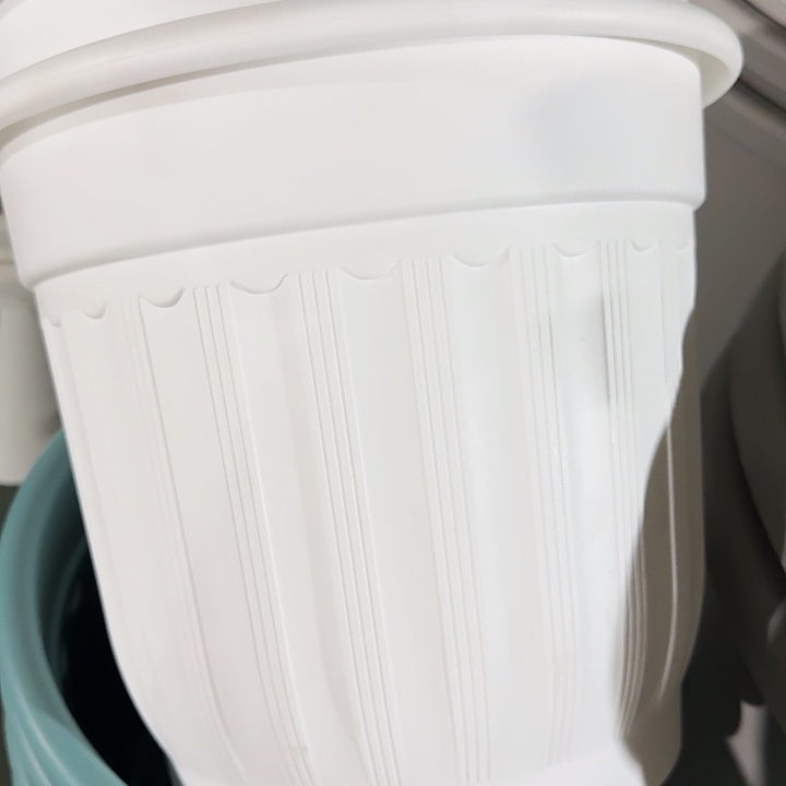 罗马盆32口径纯白带托6套