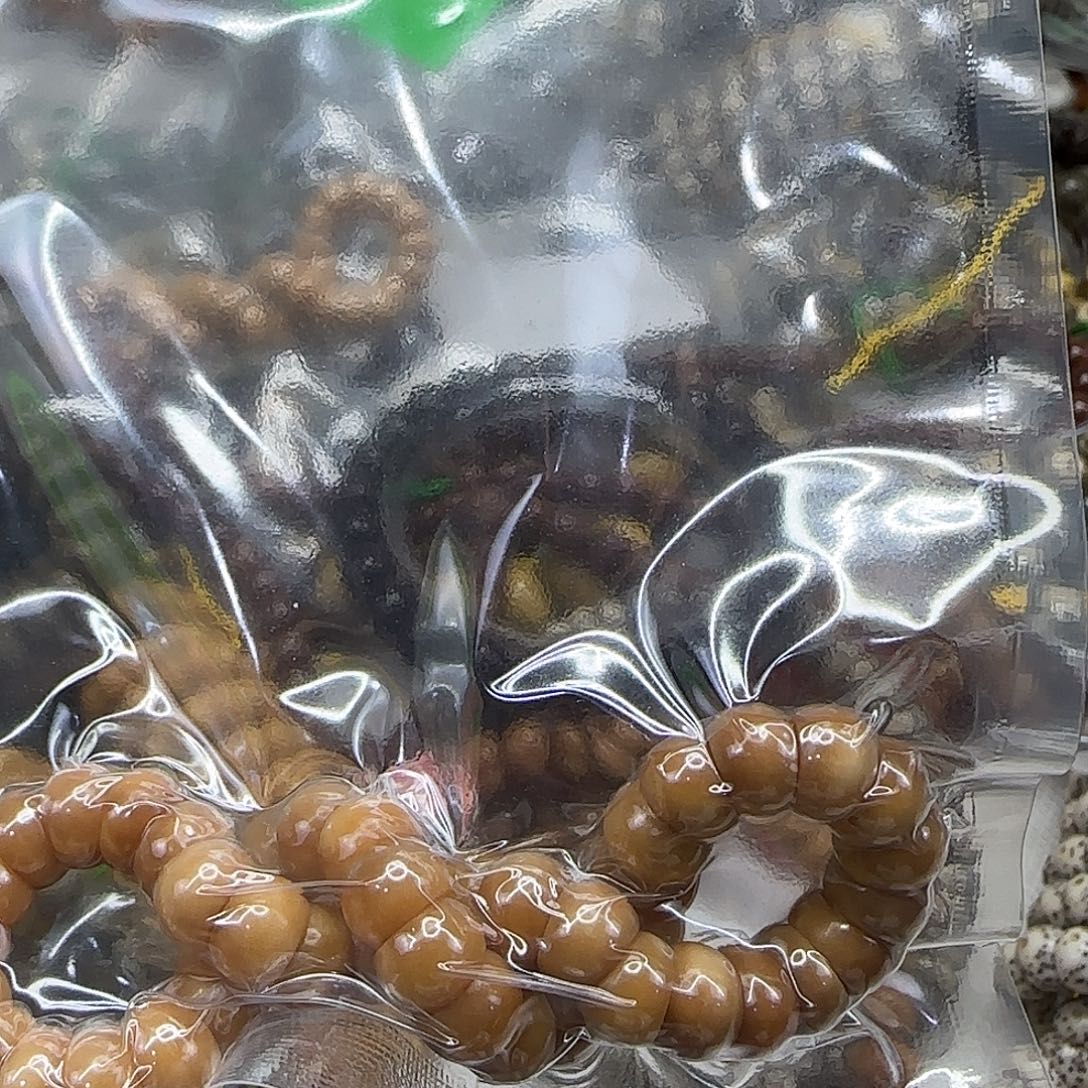 手串龙脊菩提196传说龙脊菩提8蒜瓣大肠单圈