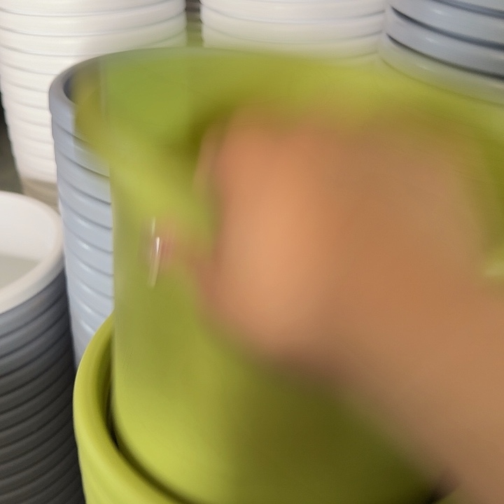 四季4号果绿无托8个特价微瑕