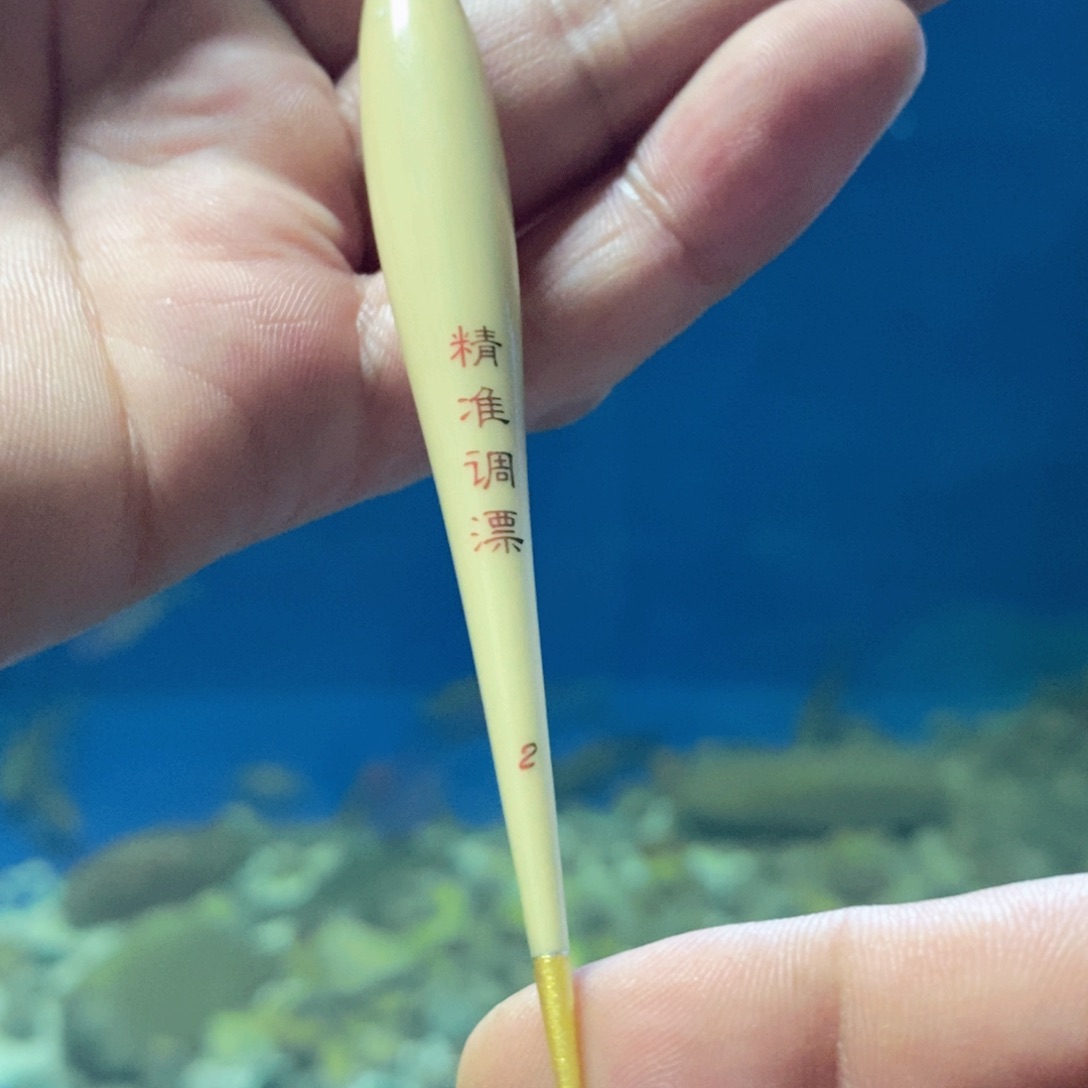 芦苇精准调漂高灵敏芦苇浮漂黑坑竞技野钓浮漂