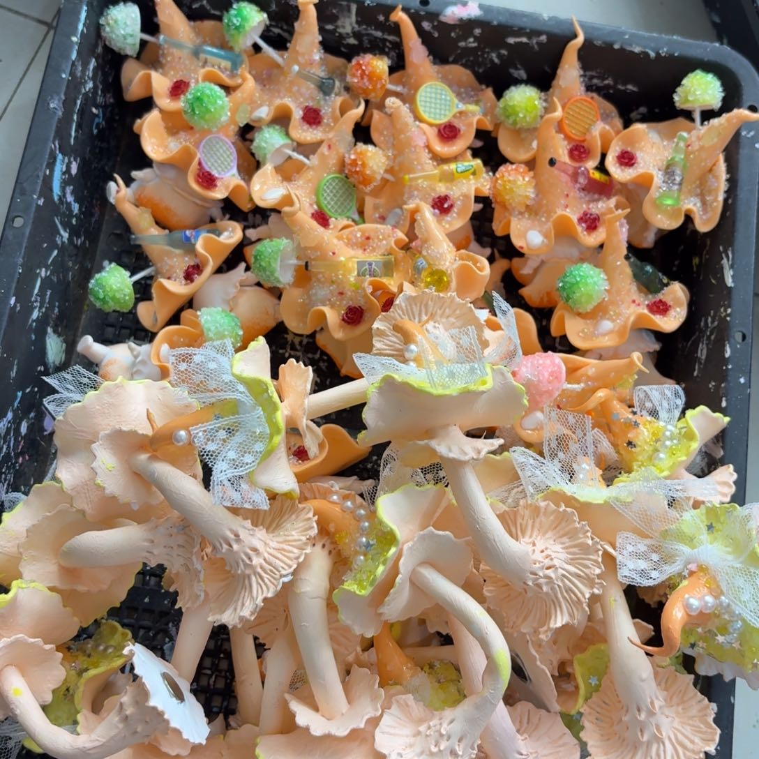 树脂74号2个哦哦哦哦哦哦哦