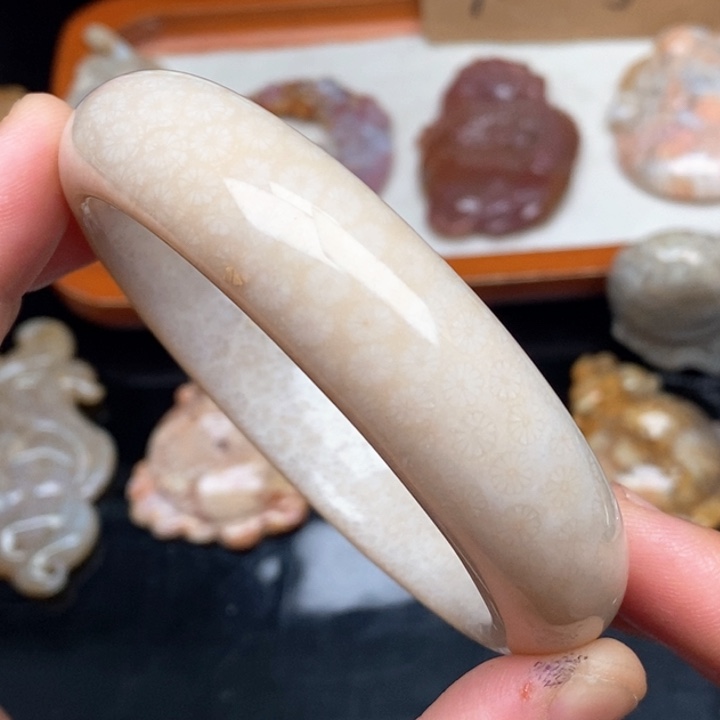 硅化珊瑚（珊瑚玉）颈饰未镶嵌59