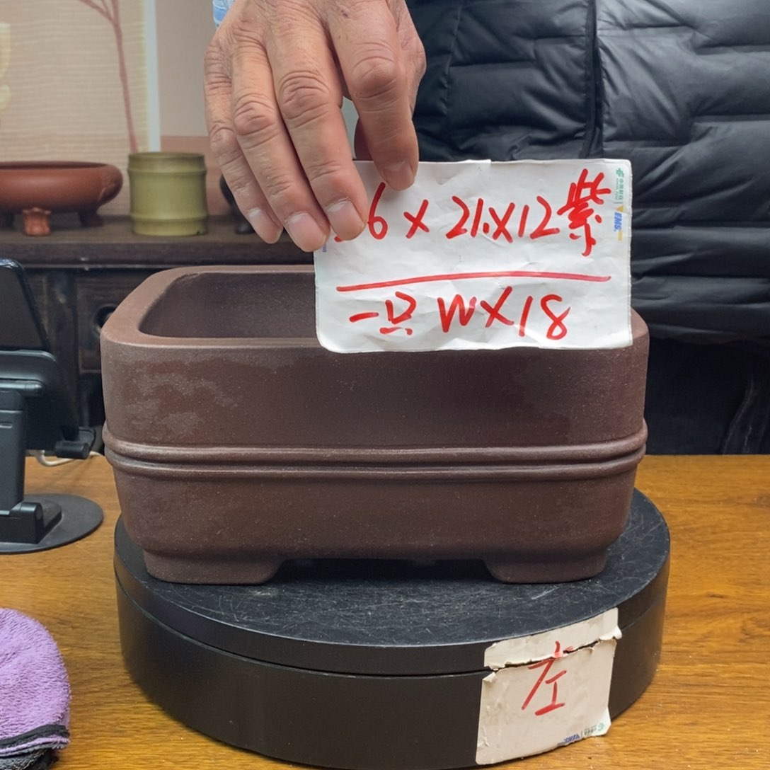 紫砂货号一只WX18子