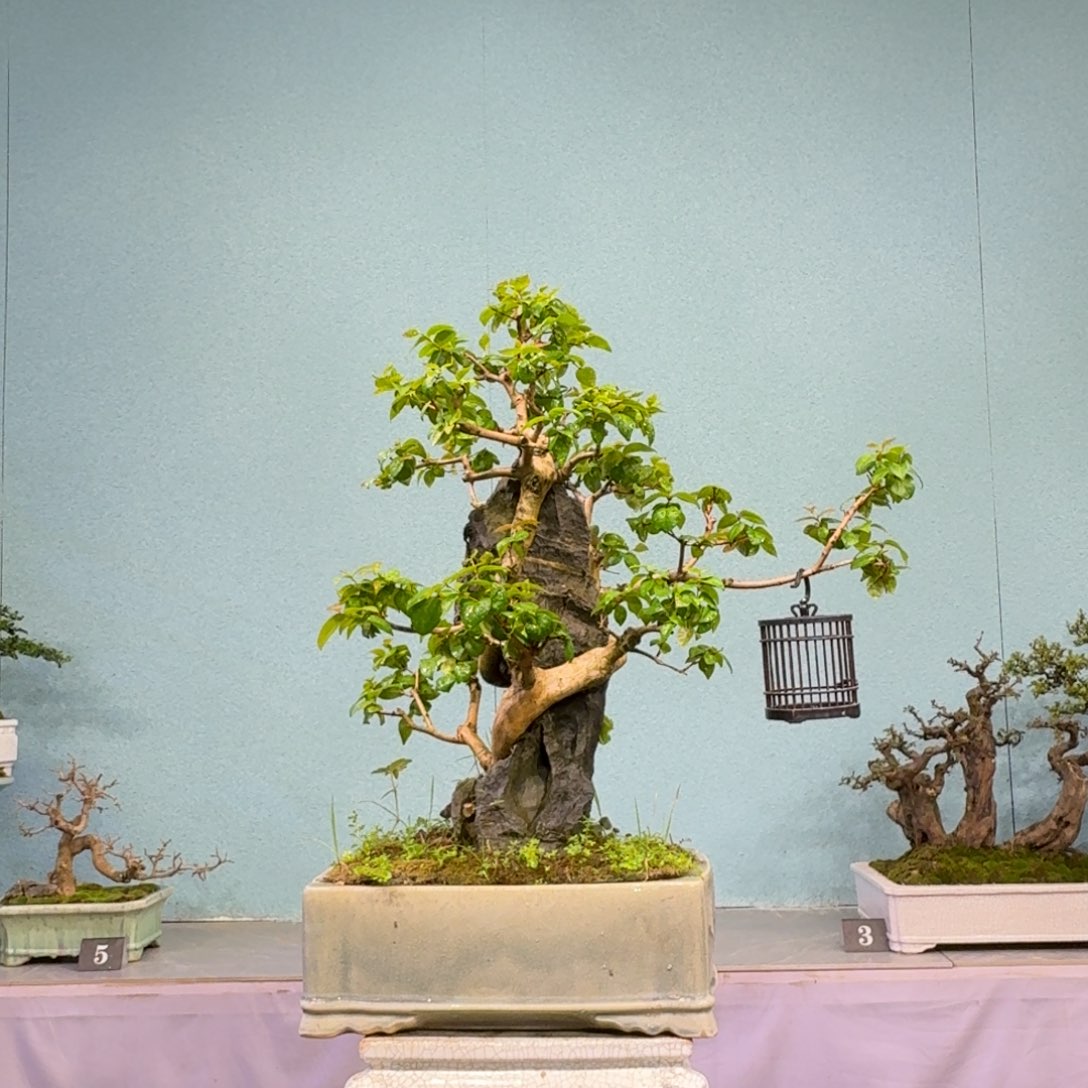 u***c无花朵1111111111111111111