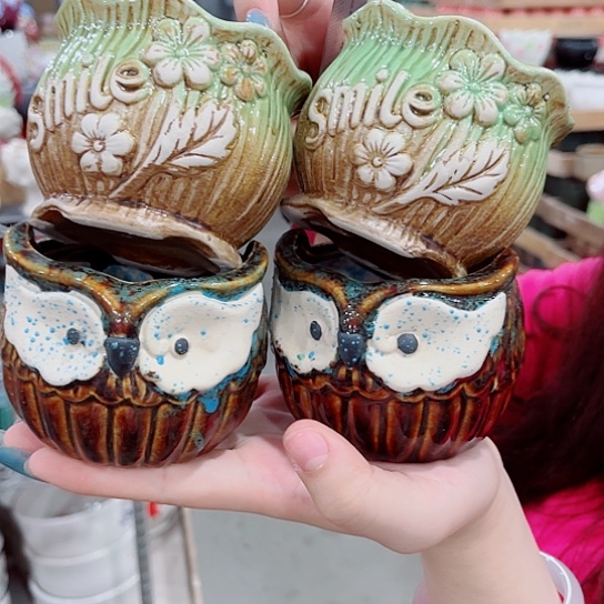 花盆凑单福利满10元发货！