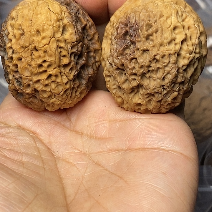 文玩核桃把件云南铁核桃86