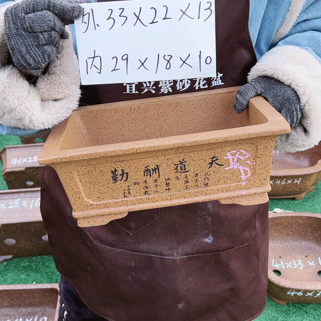 紫砂花盆紫砂花盆