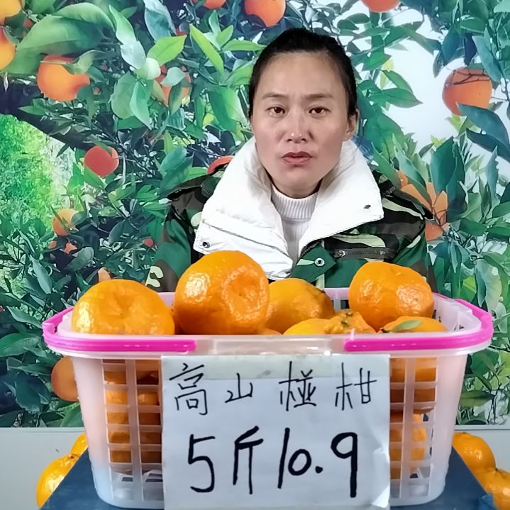 椪柑五斤小果55-65mm