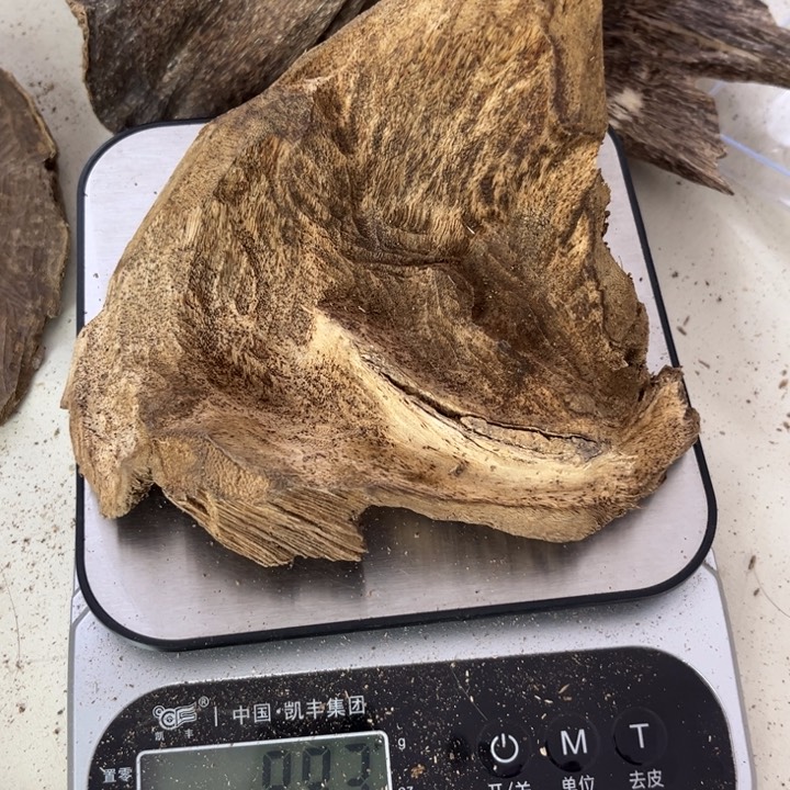 沉香摆件海南树根89克