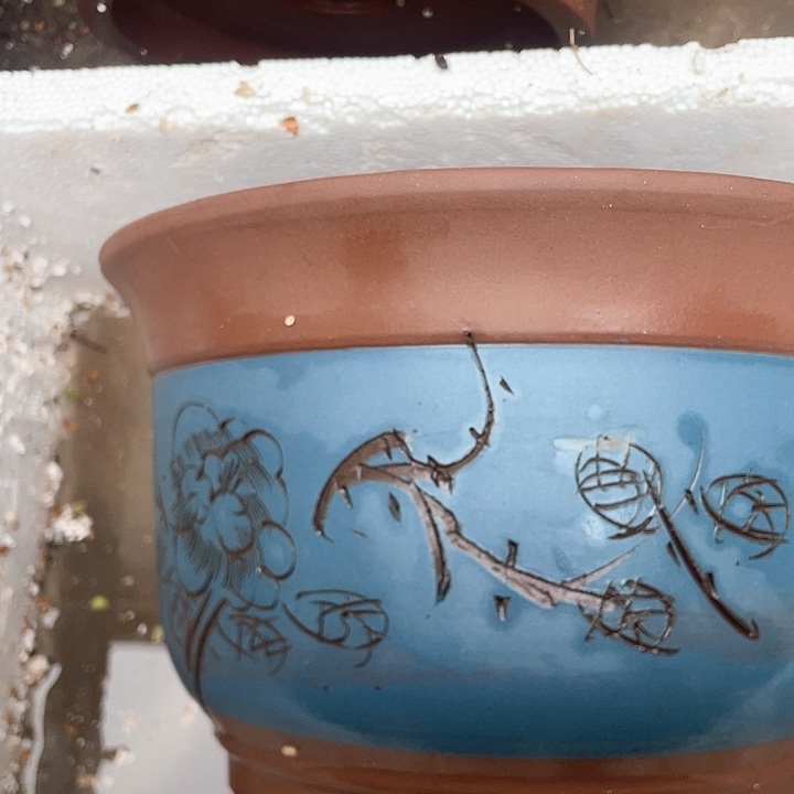 紫砂26蓝发财花盆花盆