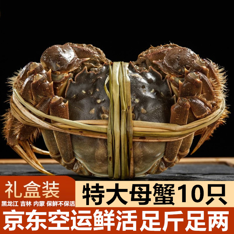 【活蟹礼盒】盘锦河蟹精品 全母蟹2.1两-1.8两/只 /10-12只