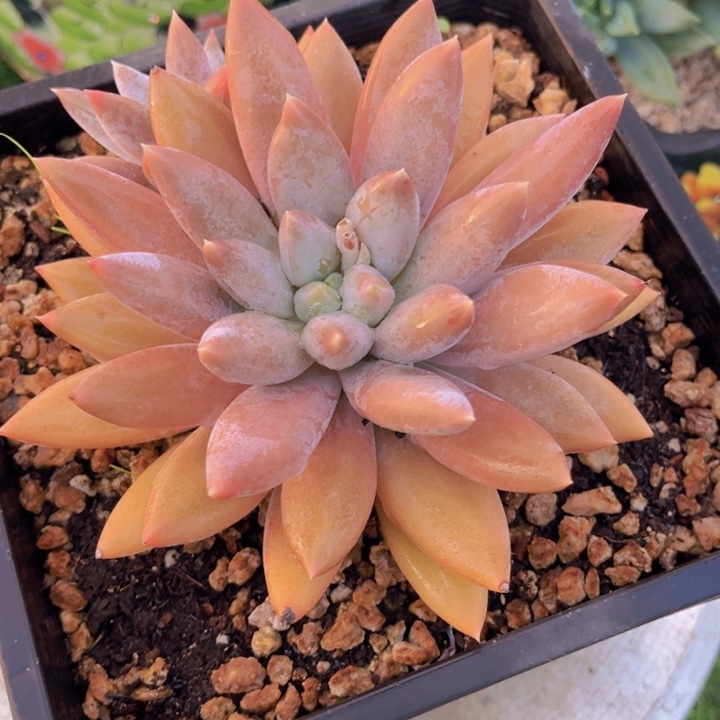 没***好11111，我1点半到贵阳