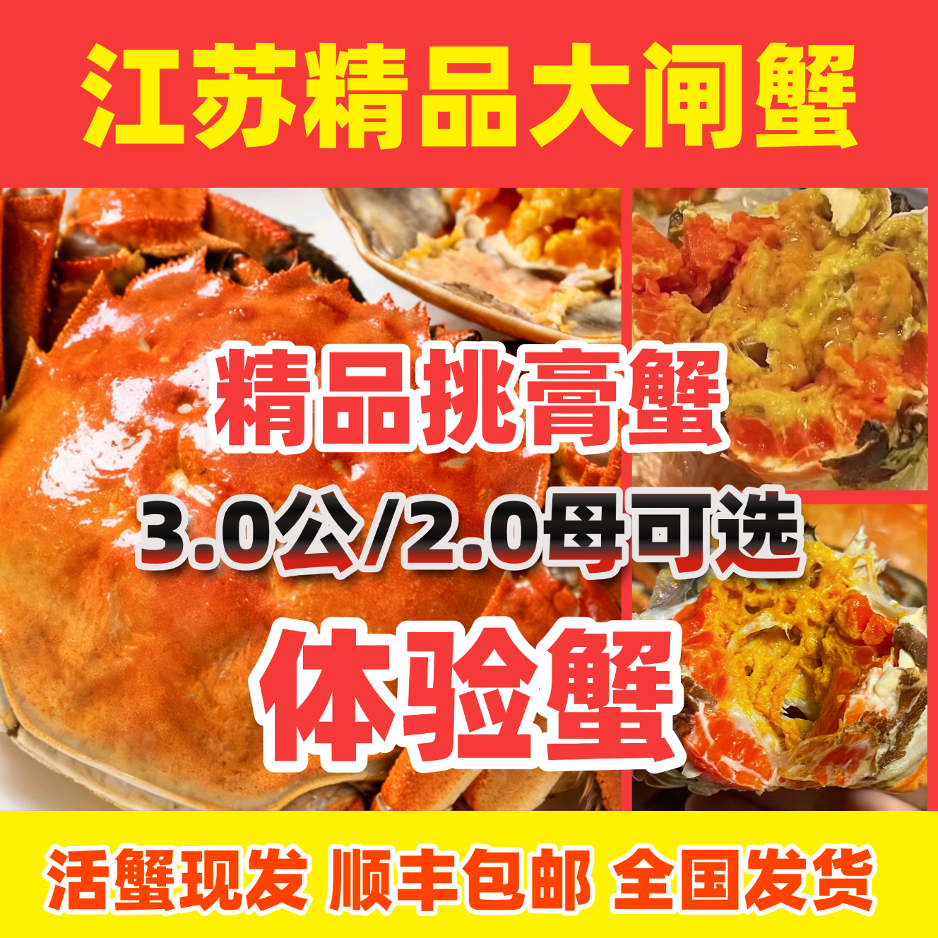 【活蟹】大闸蟹公蟹3.3-3.0两母蟹2.3-2.0两12/10只江苏精品挑膏蟹