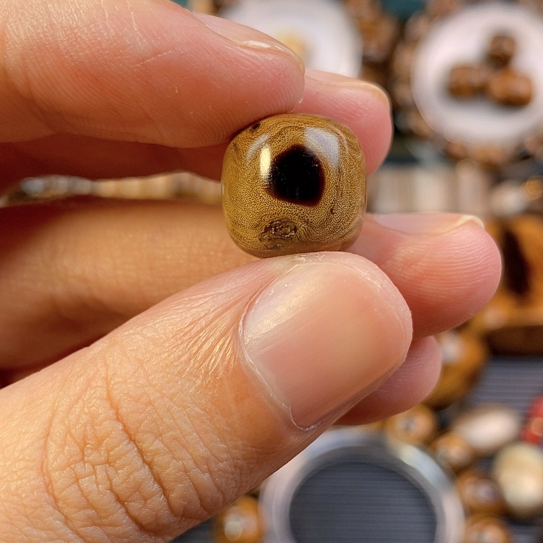 木纯天然海柳2A血柳1314