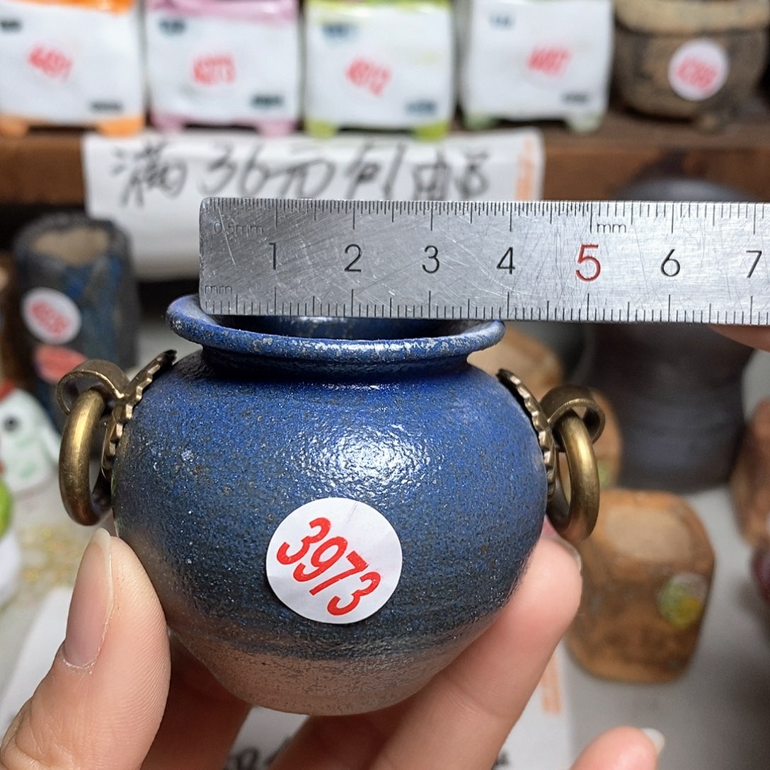 红陶拍5送一个小