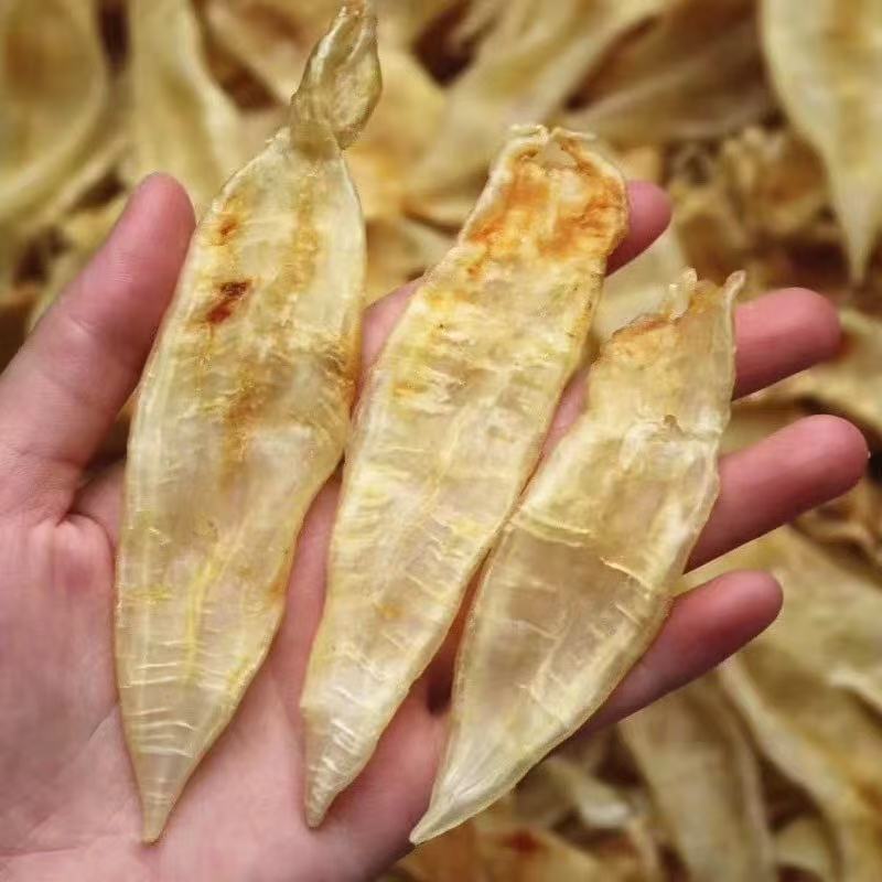 小金龙胶鱼胶干货深海鱼胶